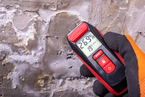 Crawl Space Mold Removal in Seneca, MO